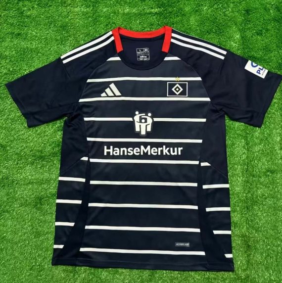 24/25 Hamburger SV Away Football Jersey