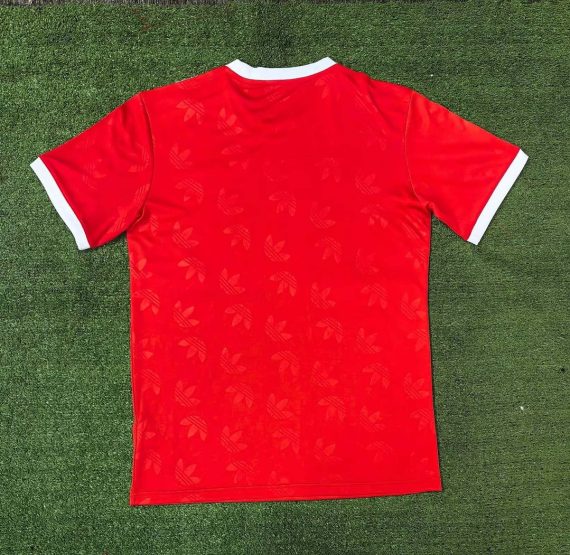 24/25 Bayern Munich Special Edition Red Football Jersey