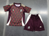 24/25 Mexico Home Football Shirt Kids Size Suit