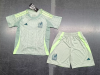 24/25 Mexico Away Football Shirt Kids Size Suit