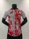 24/25 Japan Red Special Edition Football Shirt