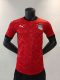 24/25 Player Version Egypt Home Football Shirt
