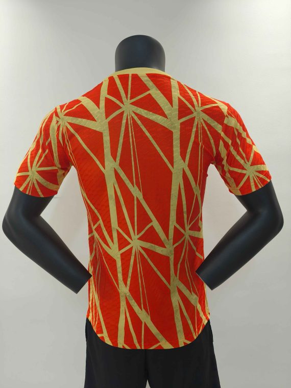 24/25 Bayern Munich Black Special Edition Football Shirt