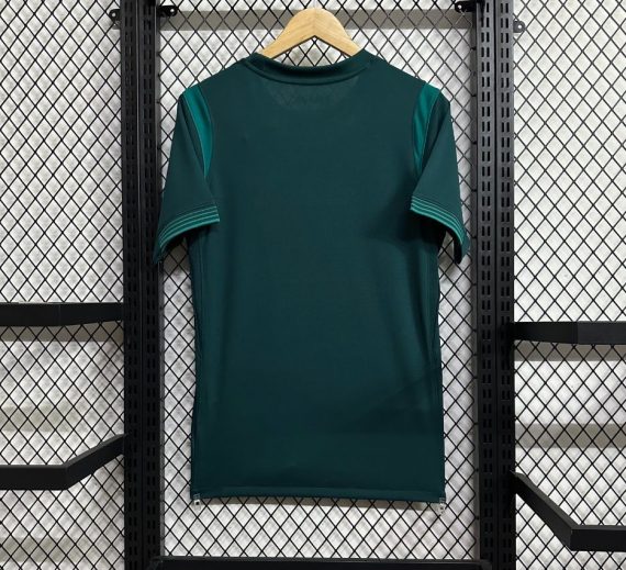 25/26 Nigeria National Team Away Football Shirt