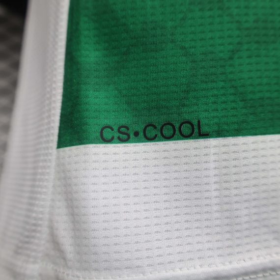 2024/2025 Player Version Club Deportivo Palestino Third Away Football Shirt