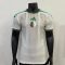26/27 Player Version Algeria National Team Away Football Shirt