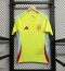 24/25 Spain Away Football Shirt