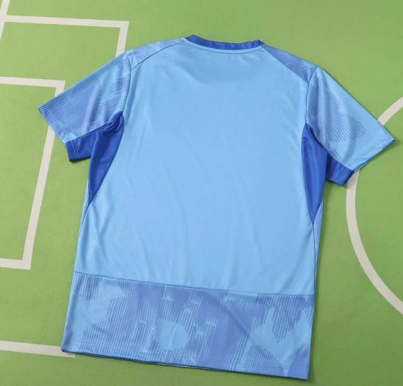 26/27 Austria National Team Away Football Shirt