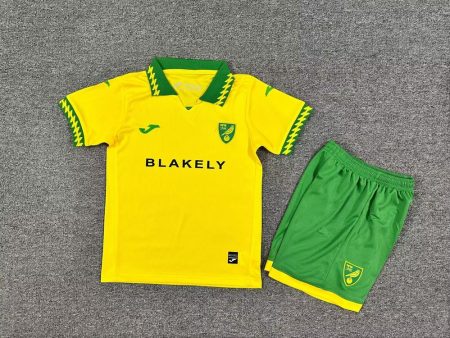 25/26 Norwich City Home Football Shirt Kids Size Suit