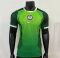26/27 Player Version Nigeria National Team Home Football Shirt