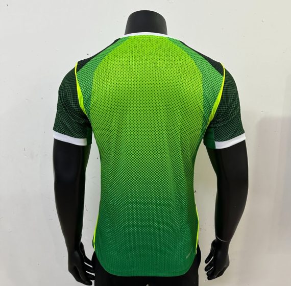 26/27 Player Version Nigeria National Team Home Football Shirt