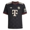 25/26 Bayern Munich Third Football Jersey