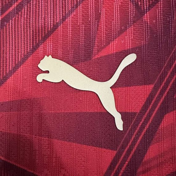 26/27 Player Version Egypt Home Football Shirt