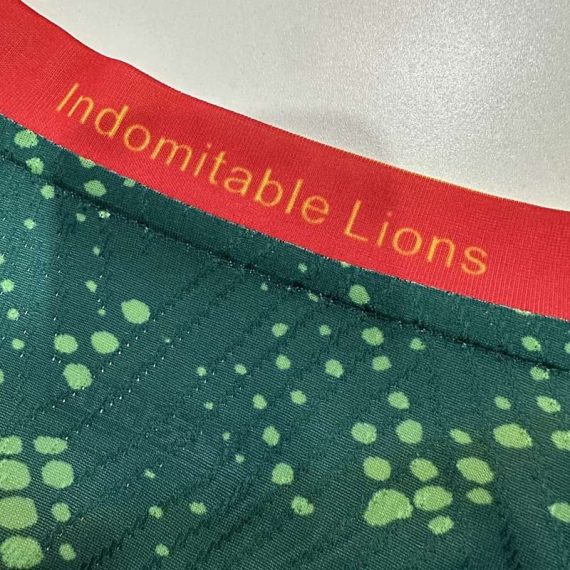 26/27 Player Version Cameroon Home Football Shirt