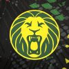 26/27 Player Version Cameroon Second Away Football Shirt