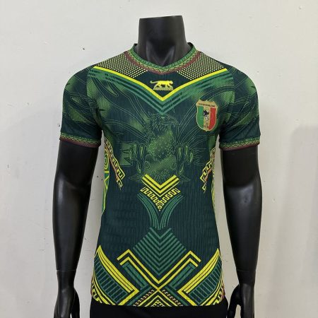 26/27 Player Version Mali Green Eagle Football Shirt