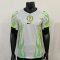 26/27 Player Version Nigeria Away Football Shirt